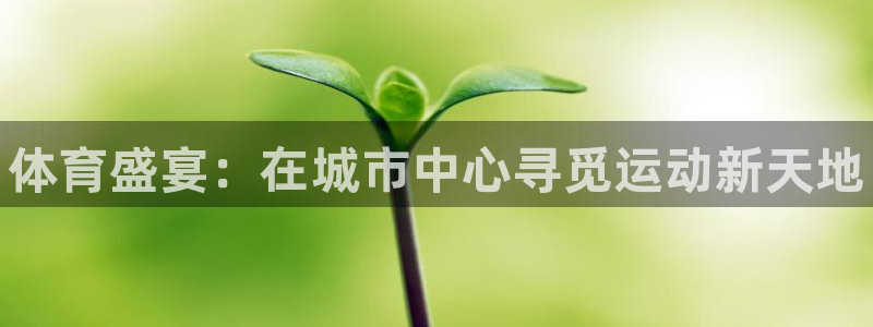 米兰体育官方正版app开户：体育盛宴：在城市中心寻觅运动新天