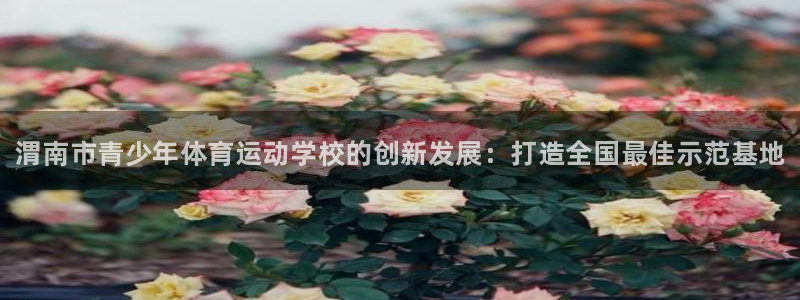米兰体育官网下载招商电话号码：渭南市青少年体育运动学