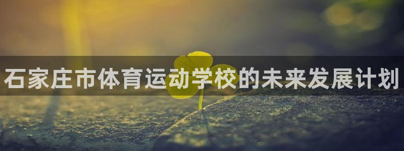 米兰体育官方正版app娱乐平台：石家庄市体育运动学校的未来发