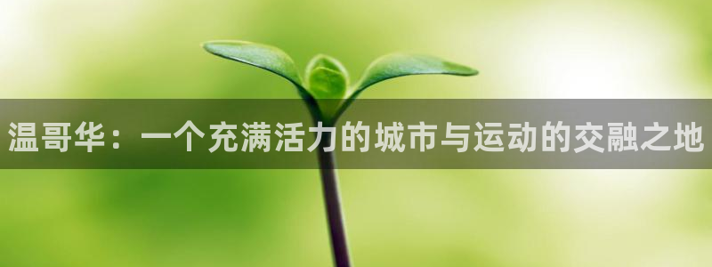 米兰体育官网下载平台是正规平台吗：温哥华：一个充满活