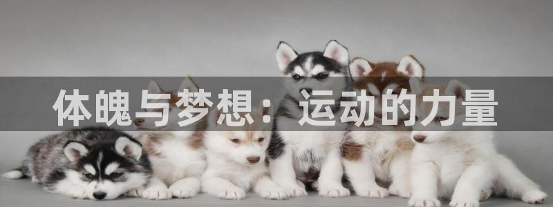 米兰体育官网下载平台注册要钱吗：体魄与梦想：运动的力量