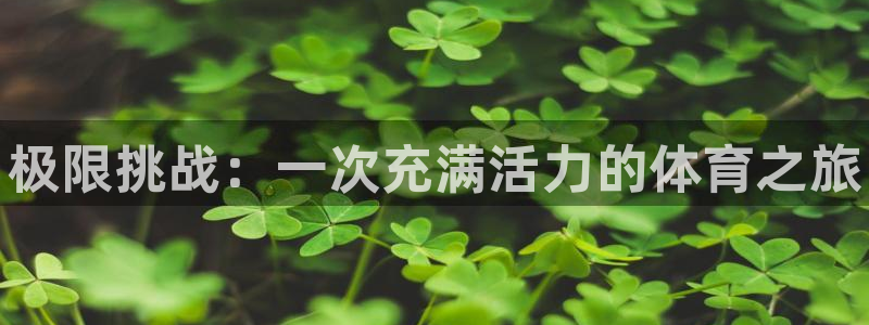 米兰体育官方正版app娱乐下载：极限挑战：一次充满活力的体育