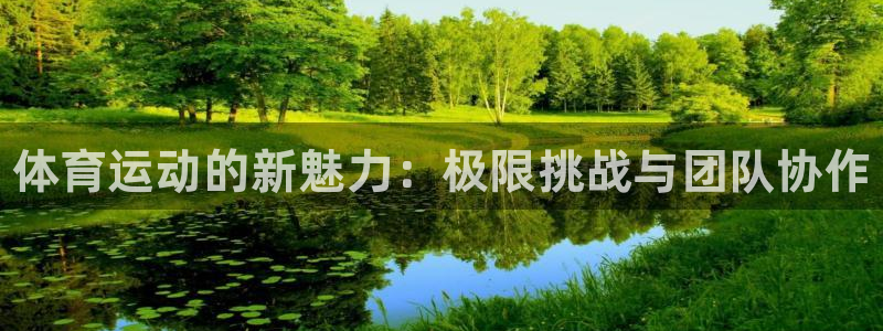 米兰体育官方正版app五金厂：体育运动的新魅力：极限挑战与团