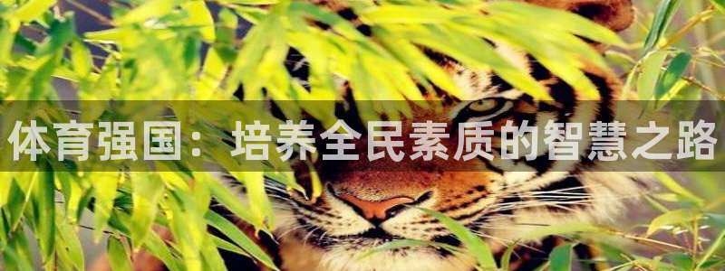 米兰体育官网下载平台注册：体育强国：培养全民素质的智
