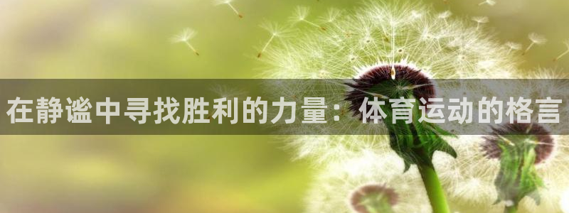 米兰体育官方正版app代理：在静谧中寻找胜利的力量：
