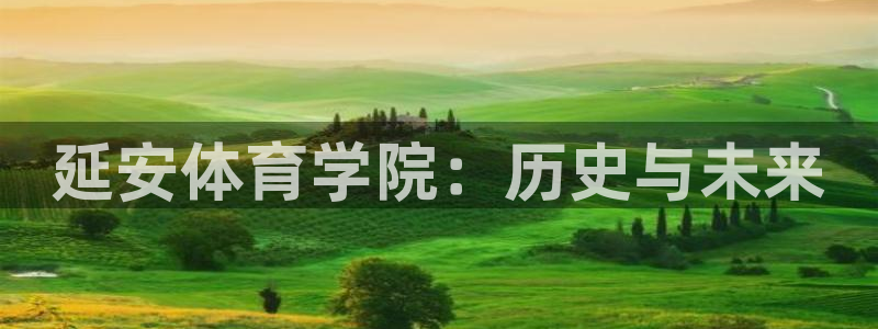 米兰体育官方正版app集团logo：延安体育学院：历史与未来