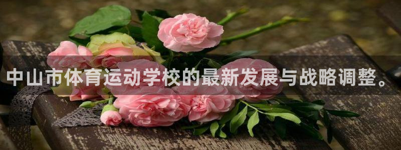 米兰体育官方正版app娱乐40996：中山市体育运动学校的最