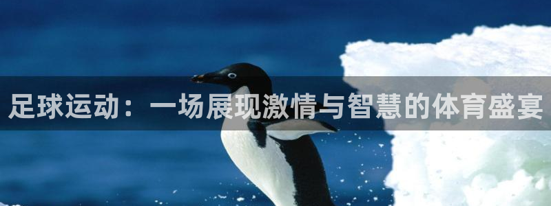 米兰体育官网下载平台注册流程图：足球运动：一场展现激