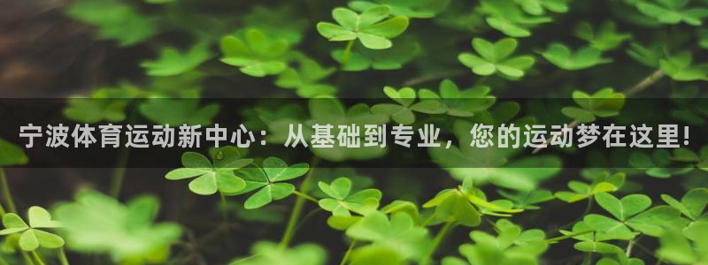 米兰体育官网下载娱乐：宁波体育运动新中心：从基础到专业，您的