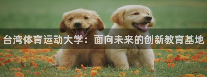 米兰体育官网下载联系电话