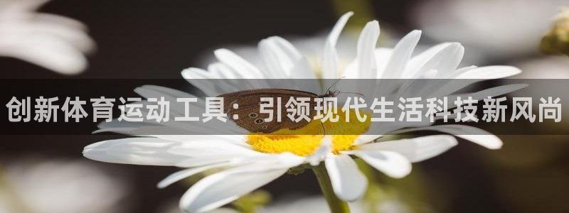米兰体育官方正版app官方：创新体育运动工具：引领现代生活科