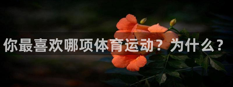 米兰体育官方正版app代理：你最喜欢哪项体育运动？为
