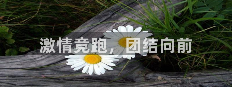米兰体育官方平台体育：激情竞跑，团结向前