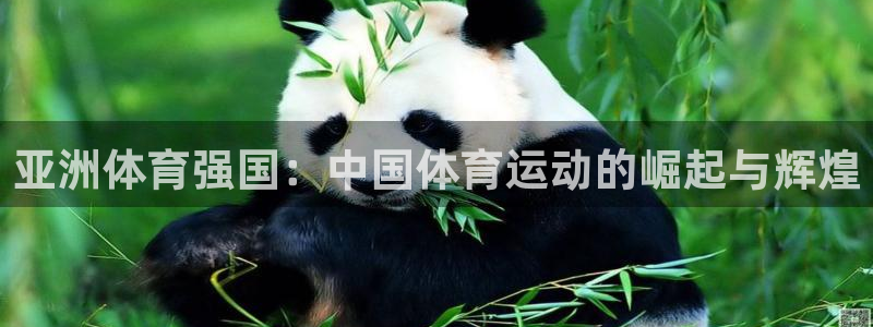 米兰体育官网下载招商电话号码是多少