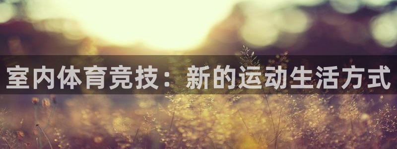 德国米兰体育官方正版app集团：室内体育竞技：新的运动生活方