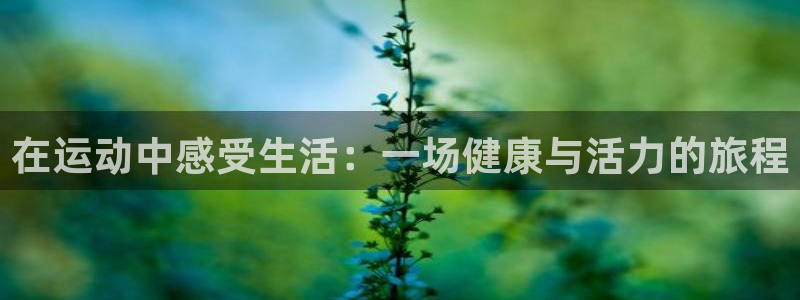 米兰体育官方正版app神州