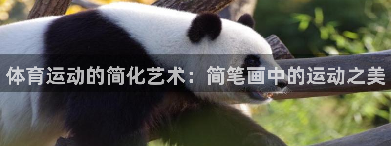 米兰体育官网下载平台注册